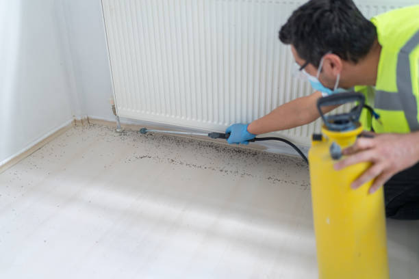 Best Best Pest Control Companies  in Penhook, VA